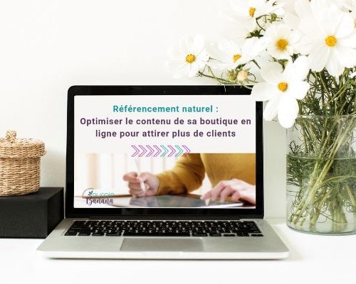 Formation SEO boutique en ligne