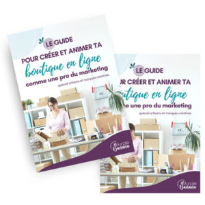 guide gratuit ecommerce