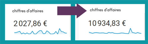 evolution chiffre d'affaires boutique en ligne
