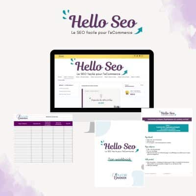 Visuel formation SEO